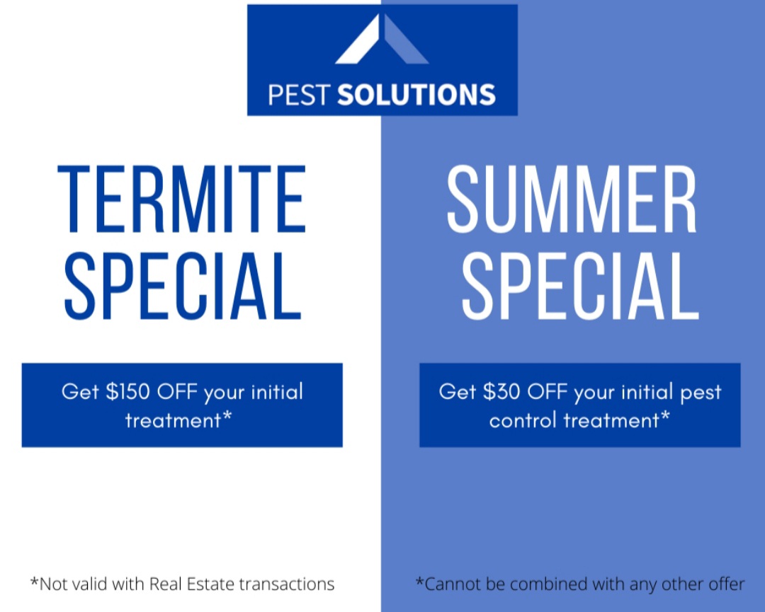 Pest Solutions special
